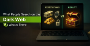 Why Dark Web Search Engines Go Offline: Haystak and Beyond