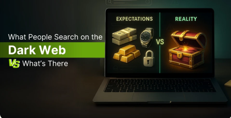 Why Dark Web Search Engines Go Offline: Haystak and Beyond