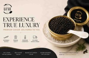 The Hidden Signs of the Best Place to Buy Caviar Online