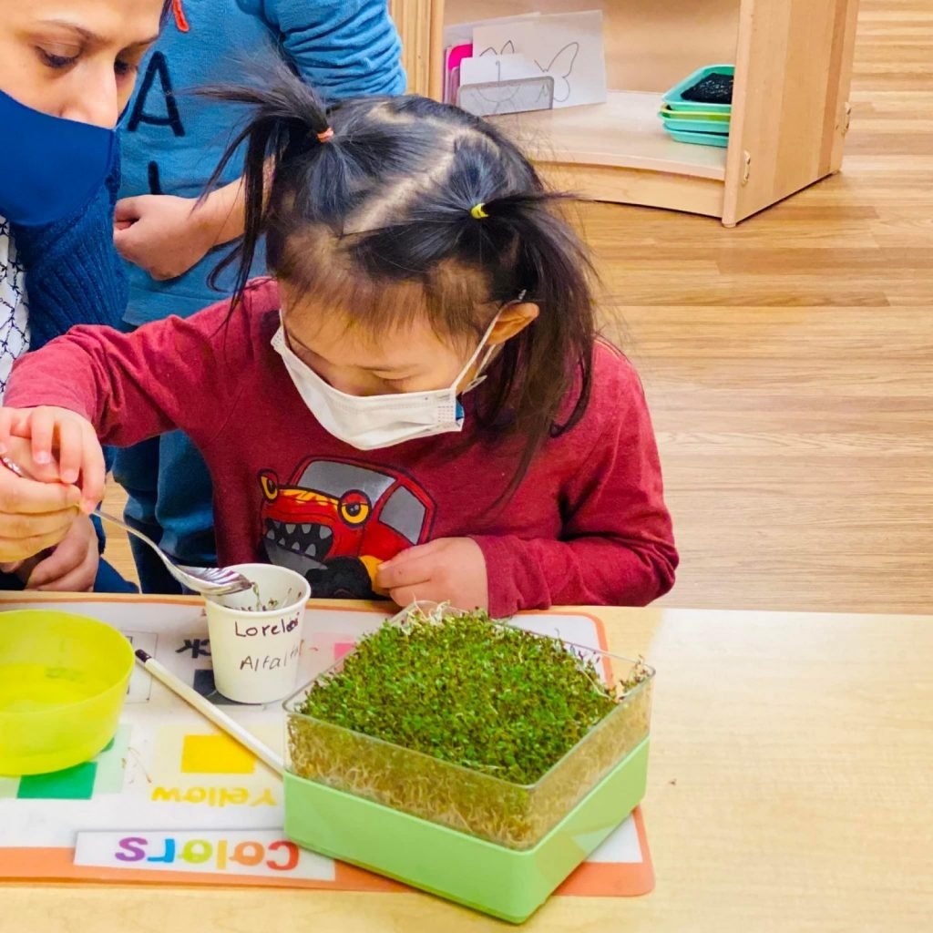 Where Little Minds Grow: Finding the Right Day Care Near to Me in Bellevue