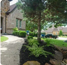Transformed Landscaping Co.: Xeriscape in Austin Texas for Sustainable Outdoor Living