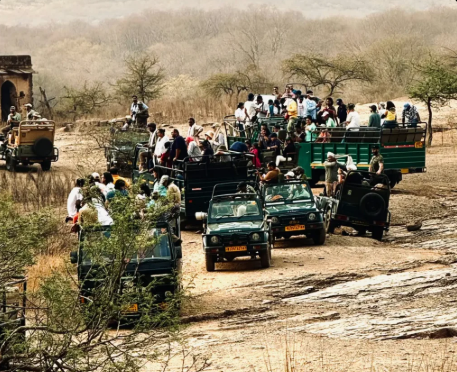 Chambal Safari Booking