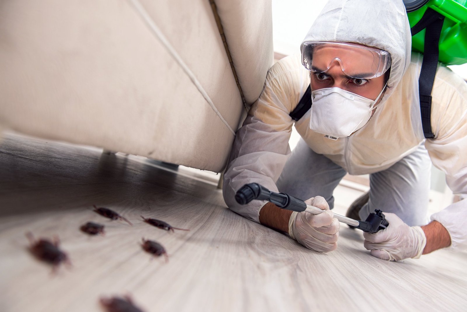 Cockroach Exterminator West New York Guide