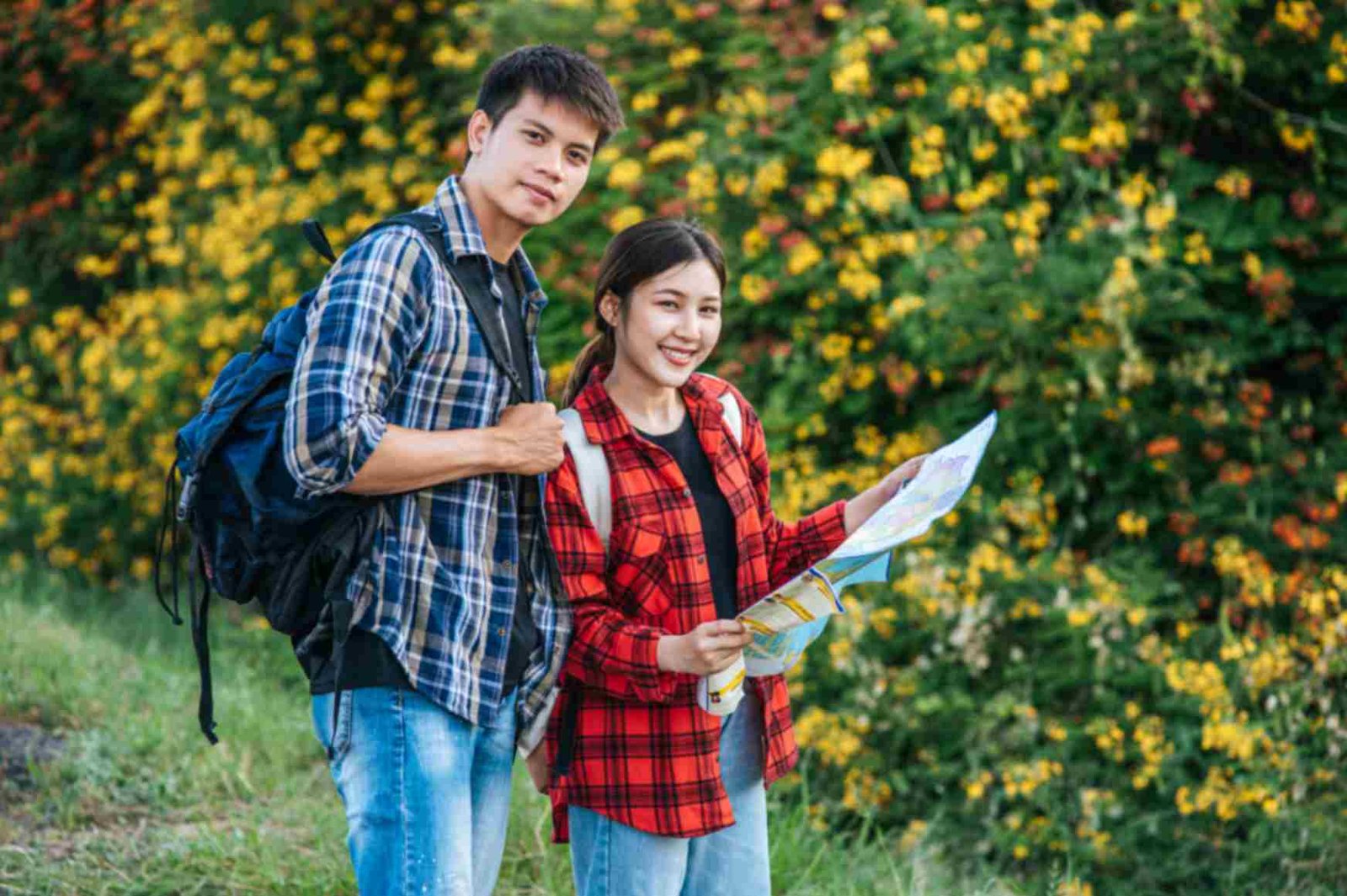 Choosing the Right University After NEET
