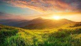 fsdgsdfg