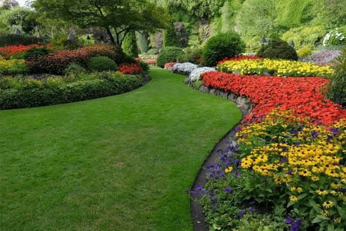 Landscape Installation Houston TX