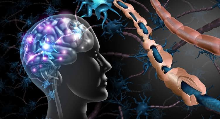 Cendant Stem Cell Center Explores the Promise of Cellular Therapy