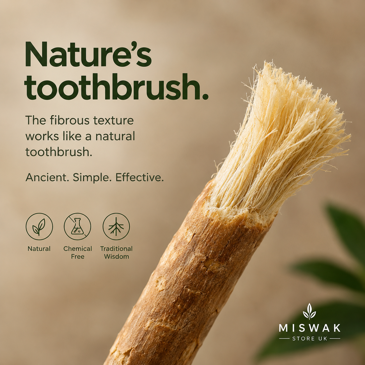 The Ultimate Guide to the Miswak Stick UK