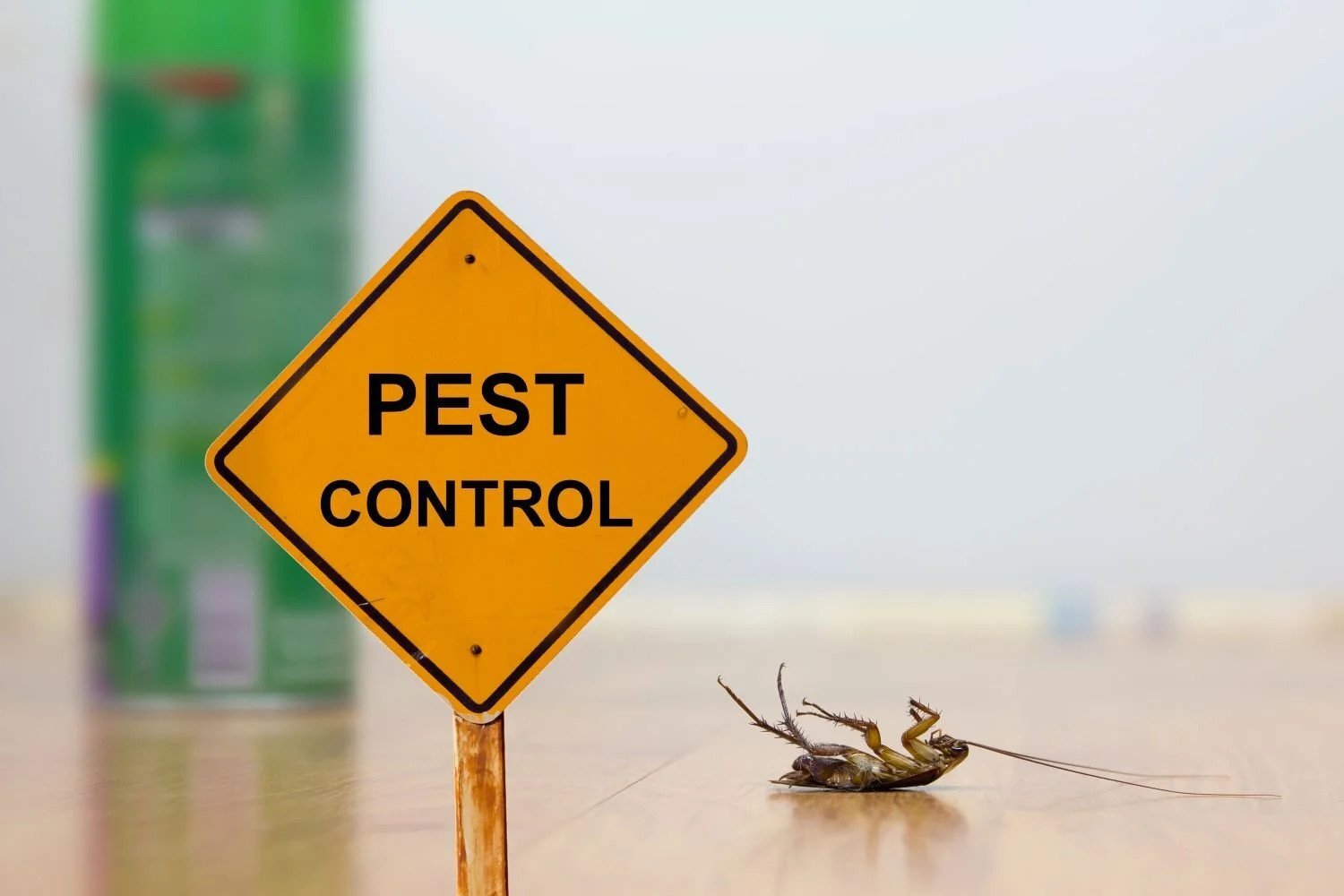 Why You Should Hire Professional Weed Control Companies
